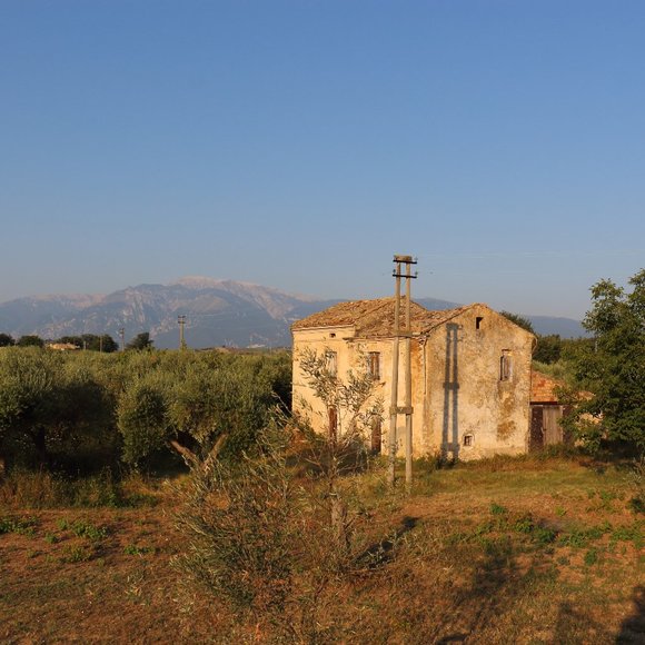 all offers are welcome - Picture 2 of 2